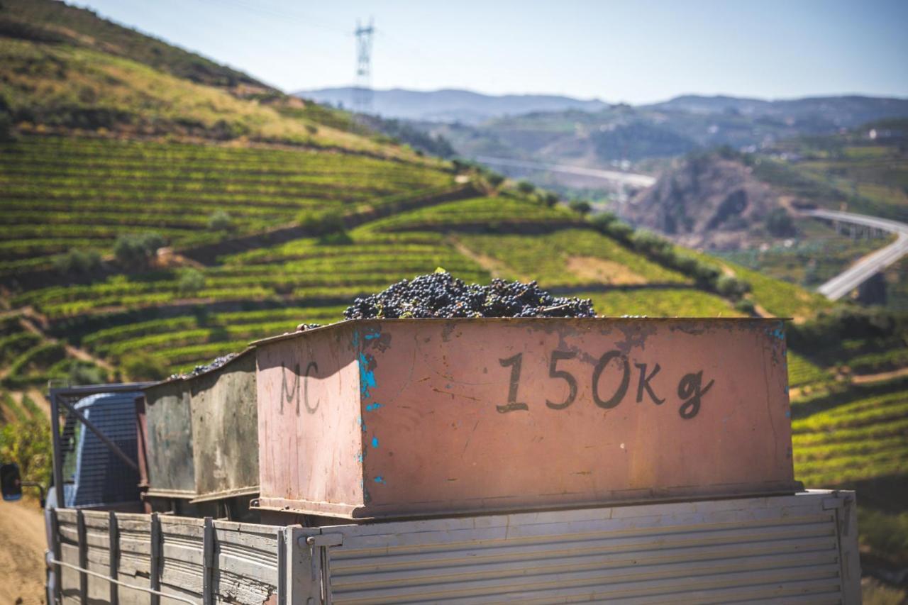 Penzion Quinta Do Valdalagea Peso da Régua Exteriér fotografie
