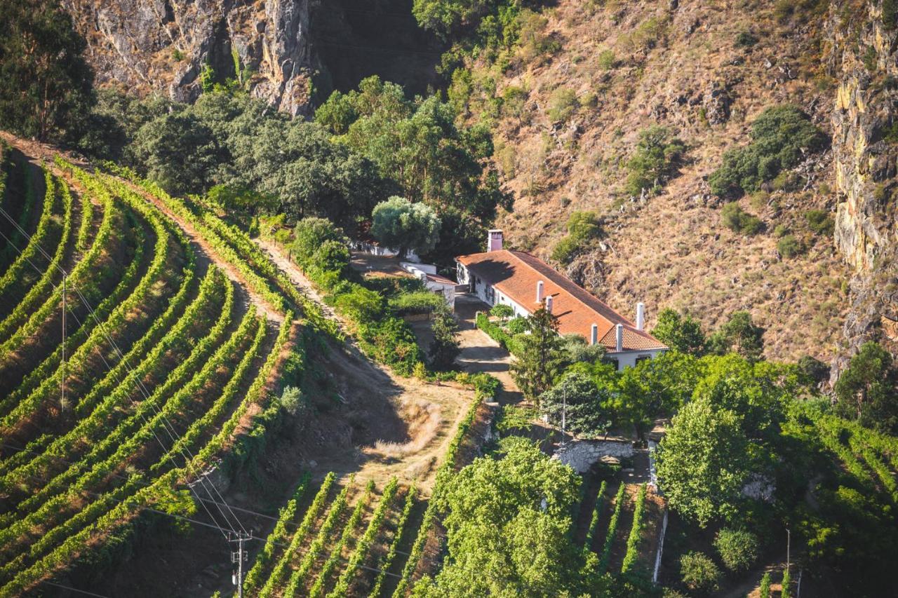 Penzion Quinta Do Valdalagea Peso da Régua Exteriér fotografie