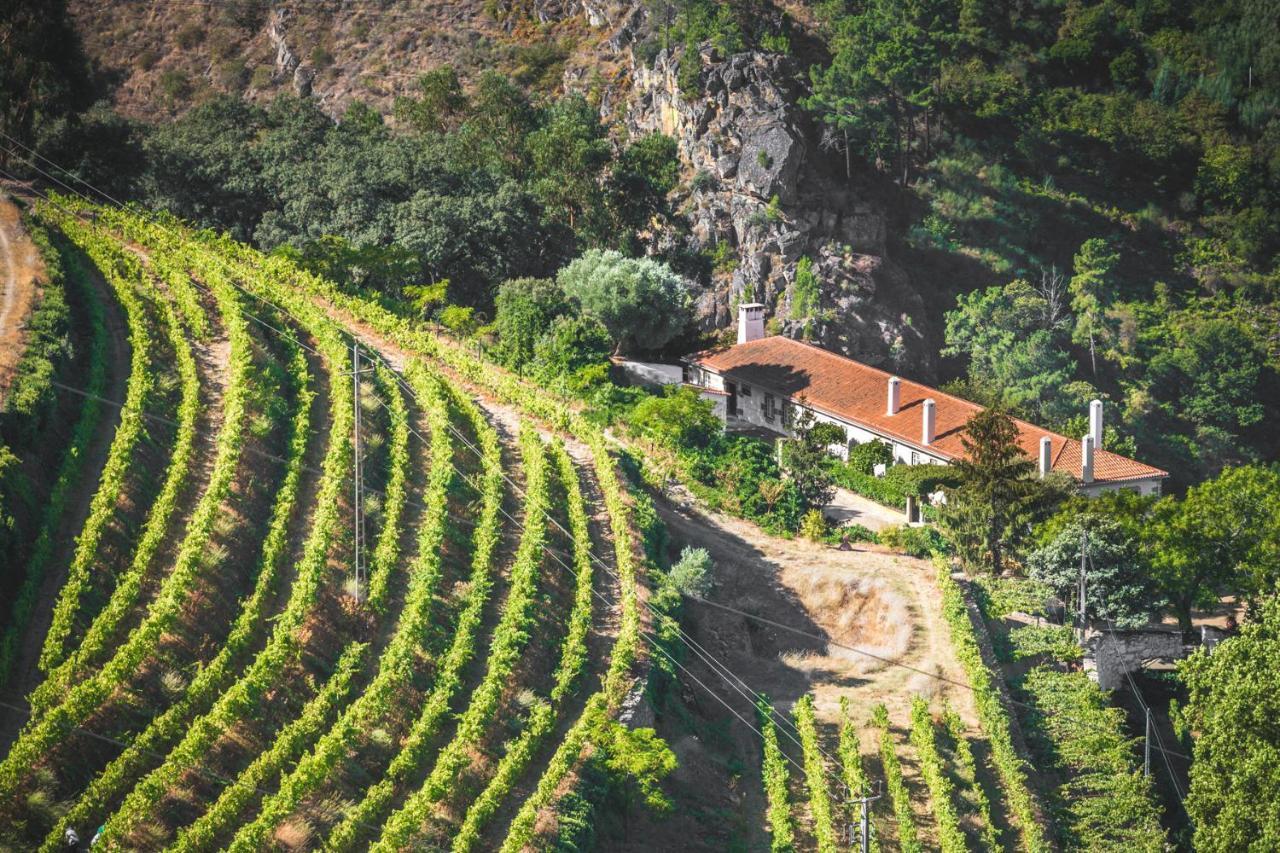 Penzion Quinta Do Valdalagea Peso da Régua Exteriér fotografie