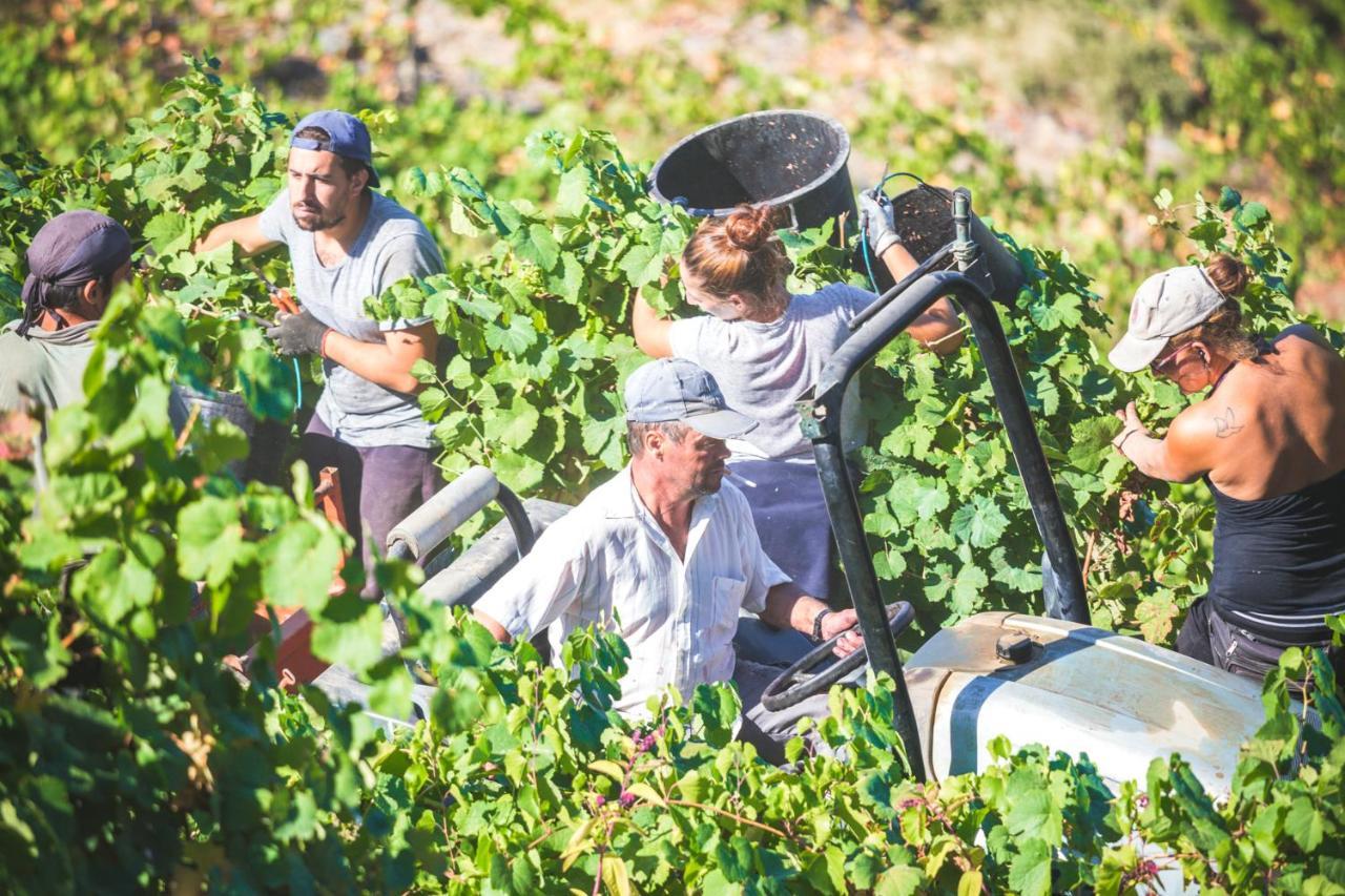 Penzion Quinta Do Valdalagea Peso da Régua Exteriér fotografie