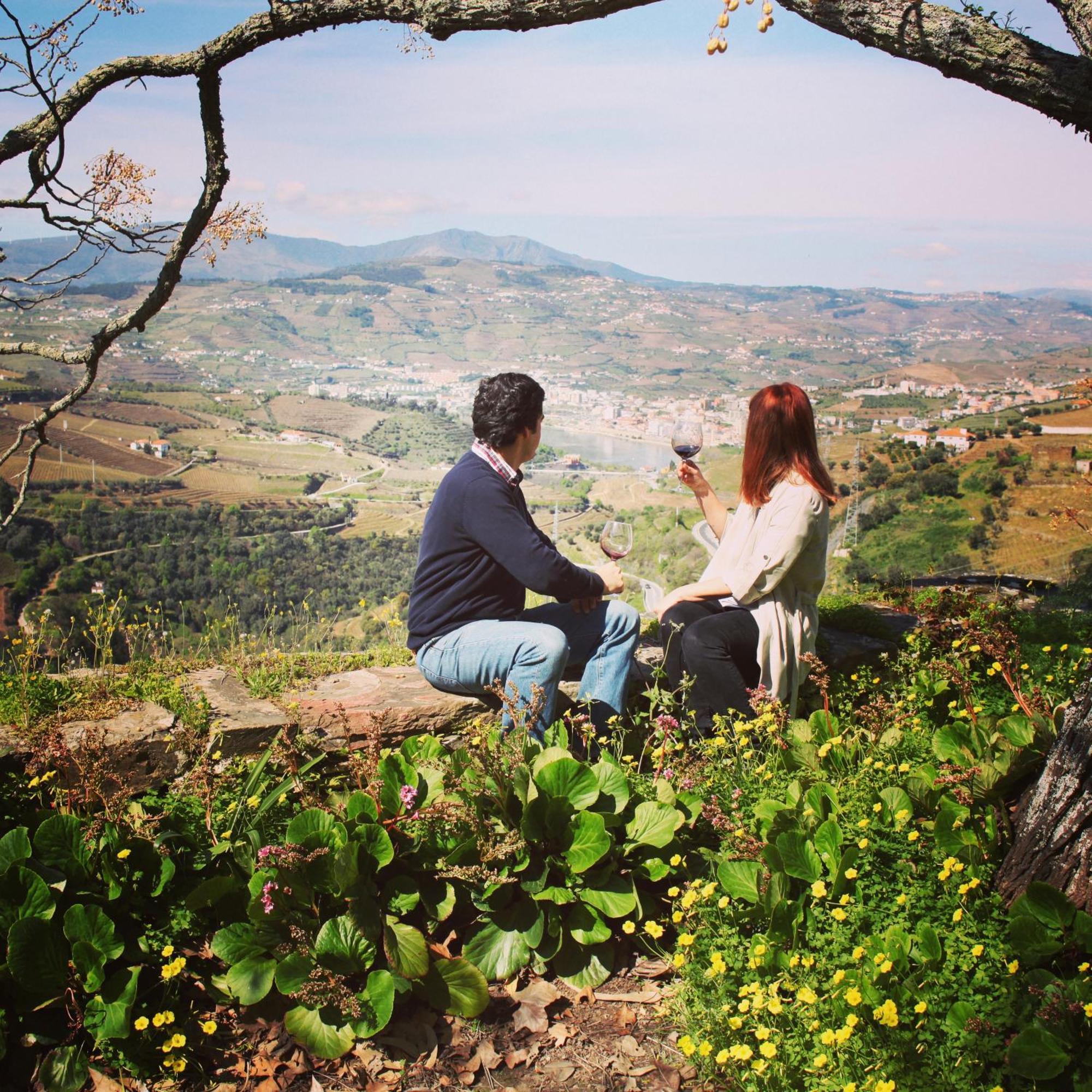 Penzion Quinta Do Valdalagea Peso da Régua Exteriér fotografie