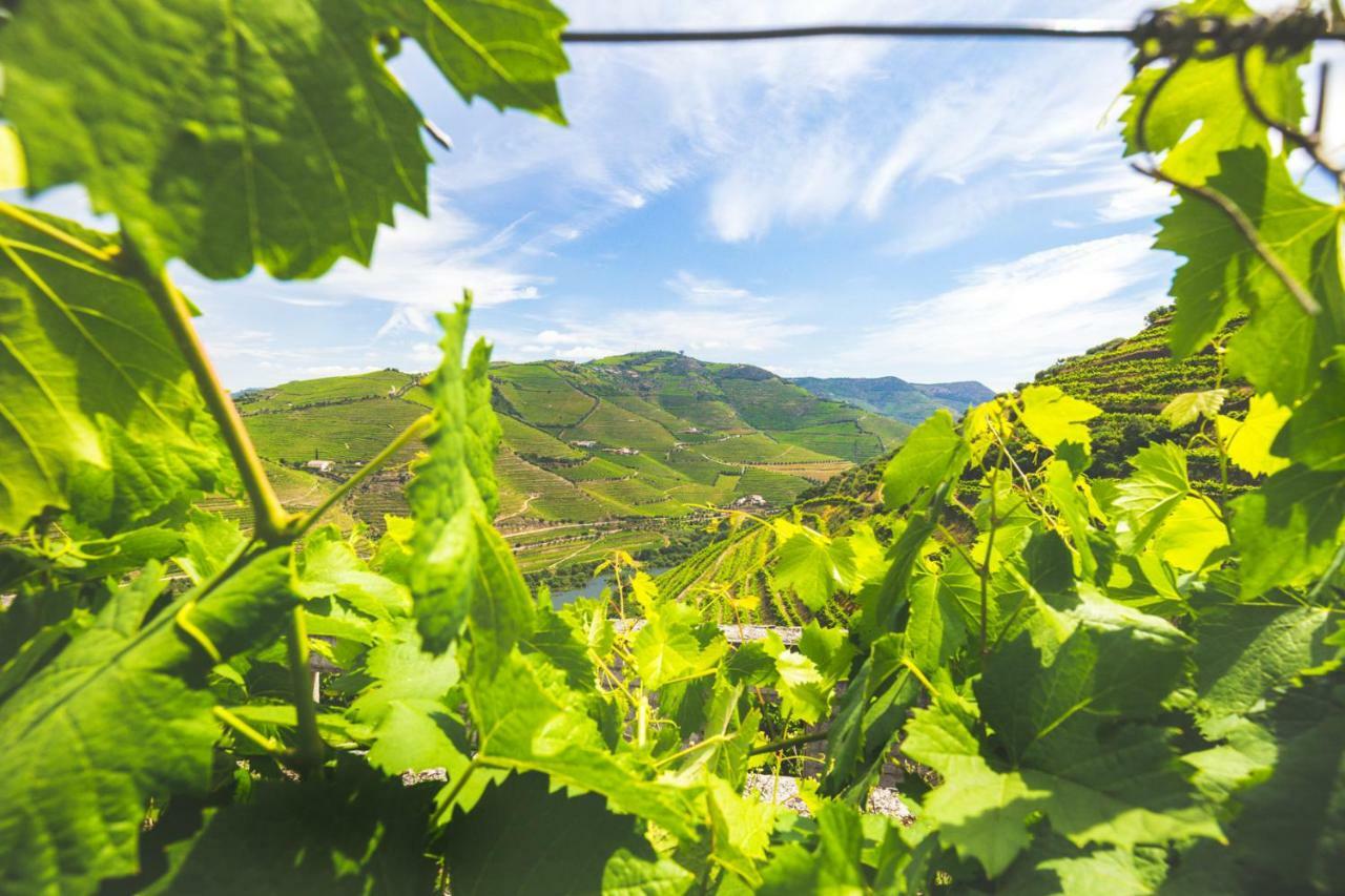 Penzion Quinta Do Valdalagea Peso da Régua Exteriér fotografie