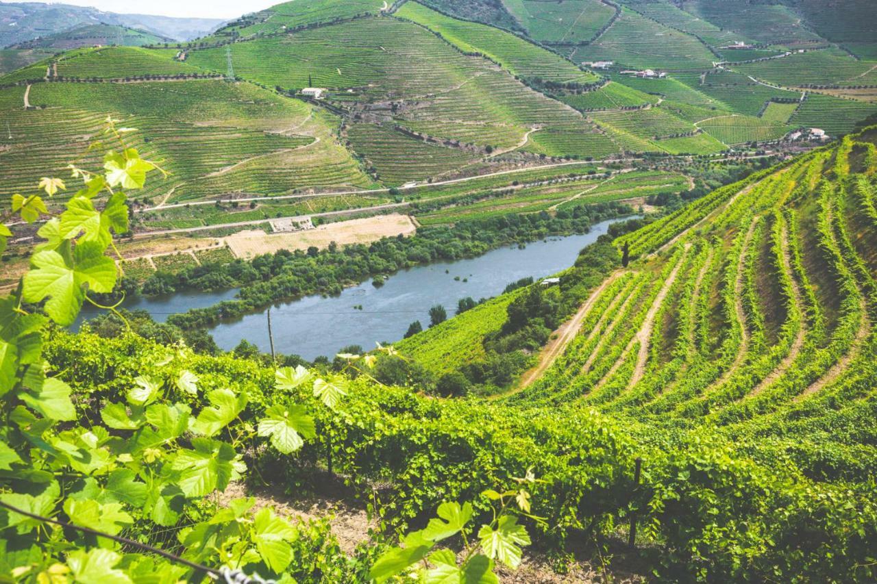 Penzion Quinta Do Valdalagea Peso da Régua Exteriér fotografie
