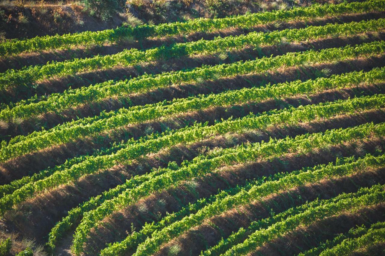 Penzion Quinta Do Valdalagea Peso da Régua Exteriér fotografie