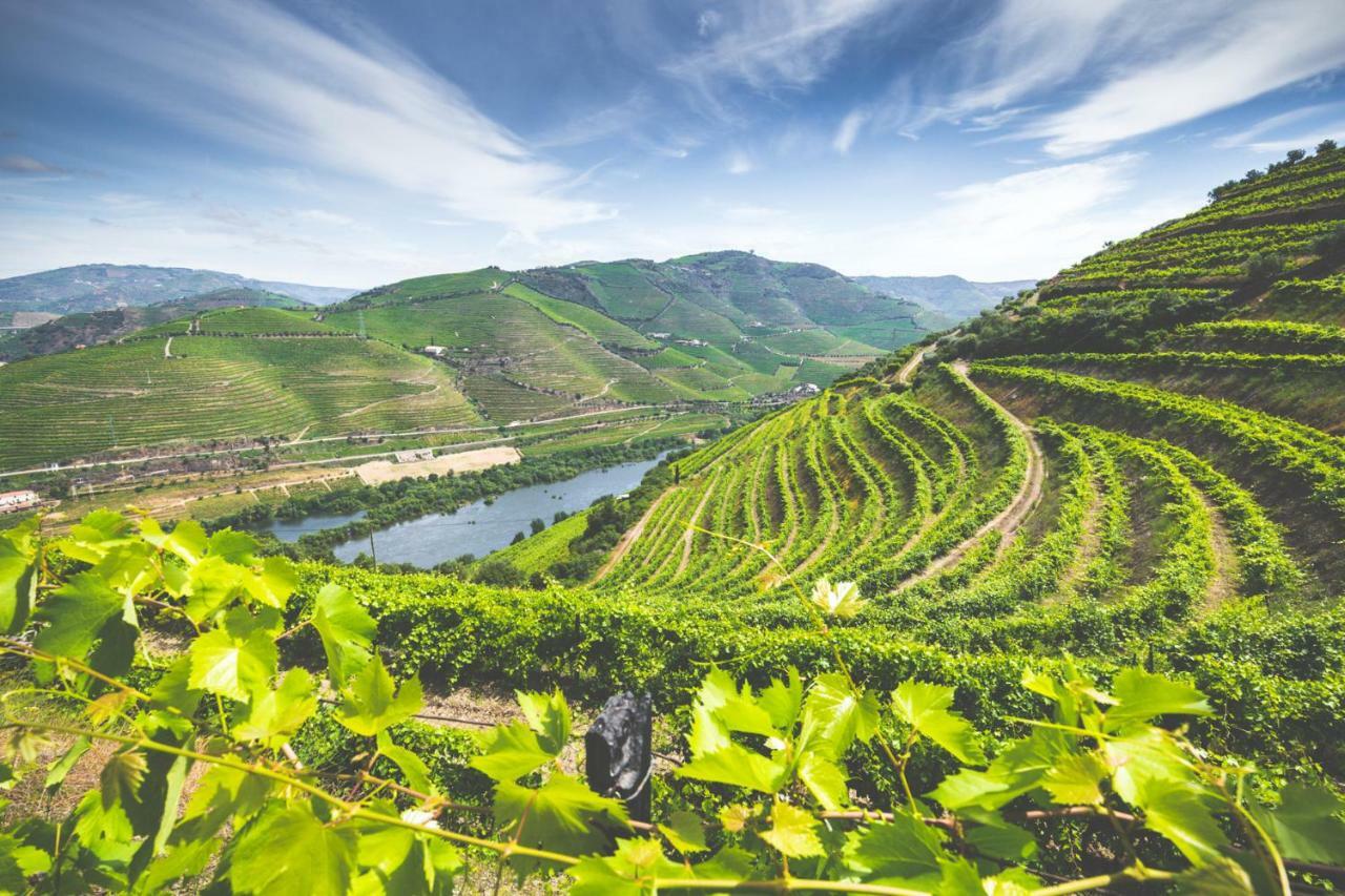 Penzion Quinta Do Valdalagea Peso da Régua Exteriér fotografie